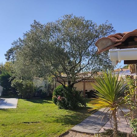 Maison familiale en bois avec piscine, proche du bassin Gujan-Mestras Extérieur photo