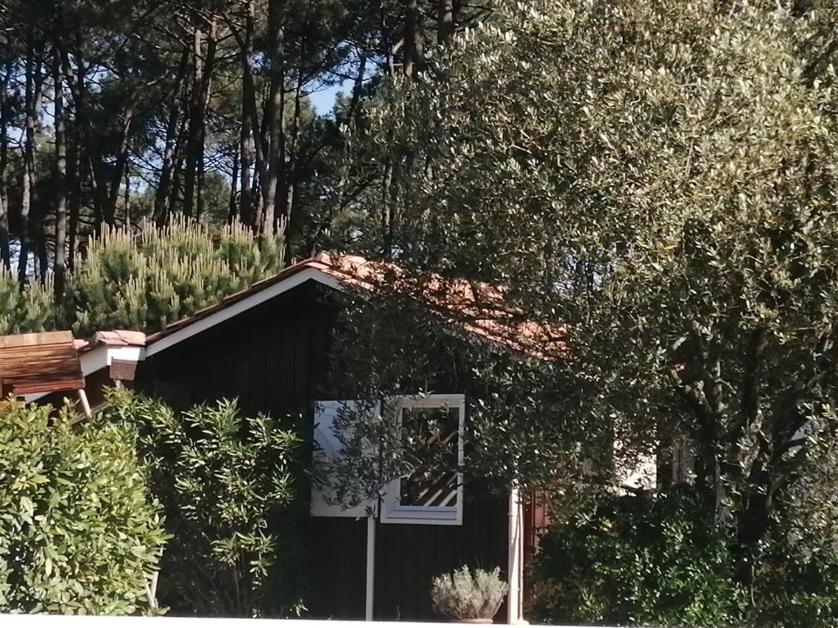 Maison familiale en bois avec piscine, proche du bassin Gujan-Mestras Extérieur photo